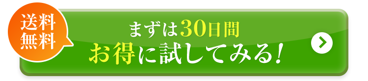 ダミーイメージ